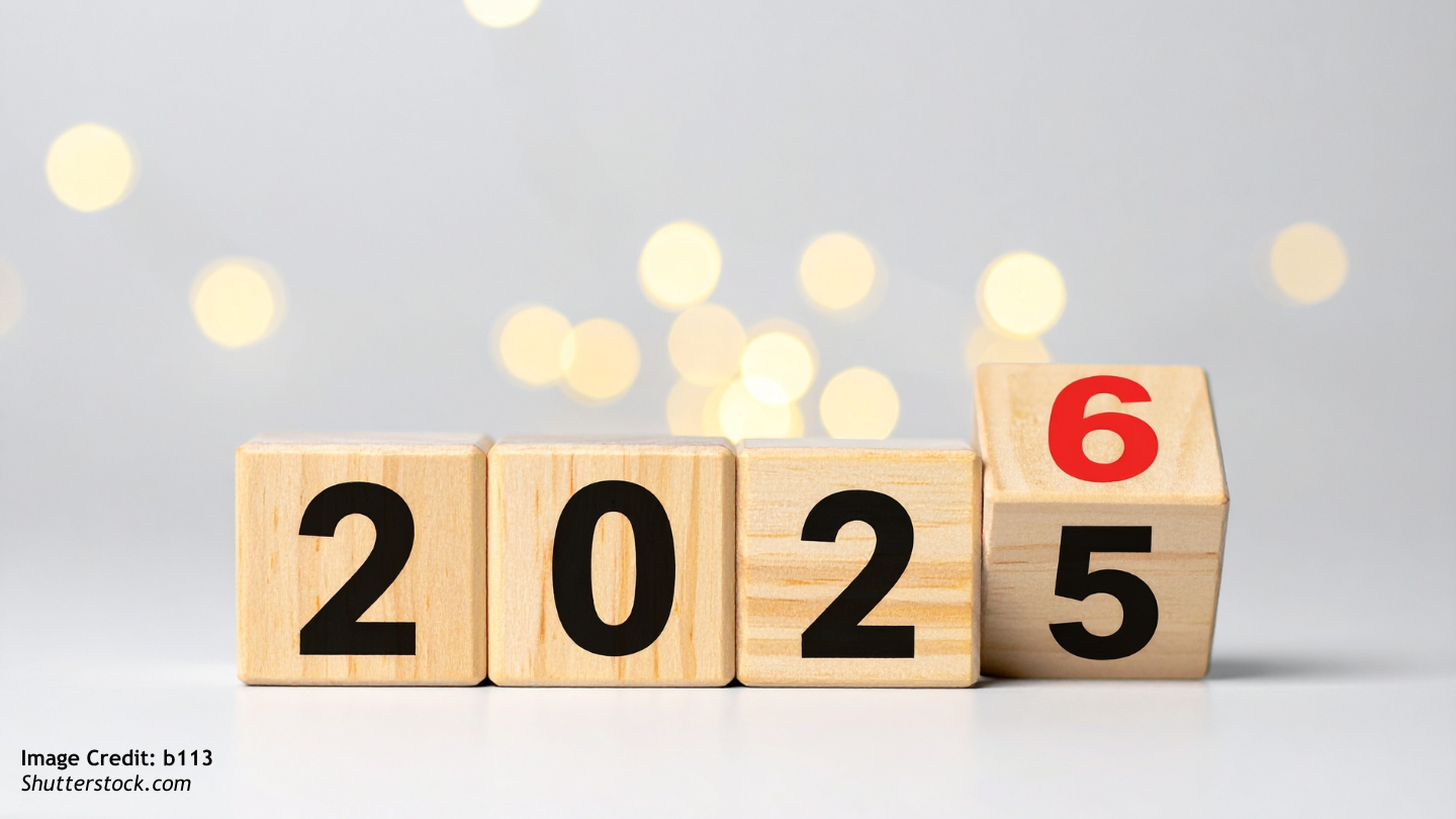 Looking Back at 2025 with ISDP’s Picks for the Year